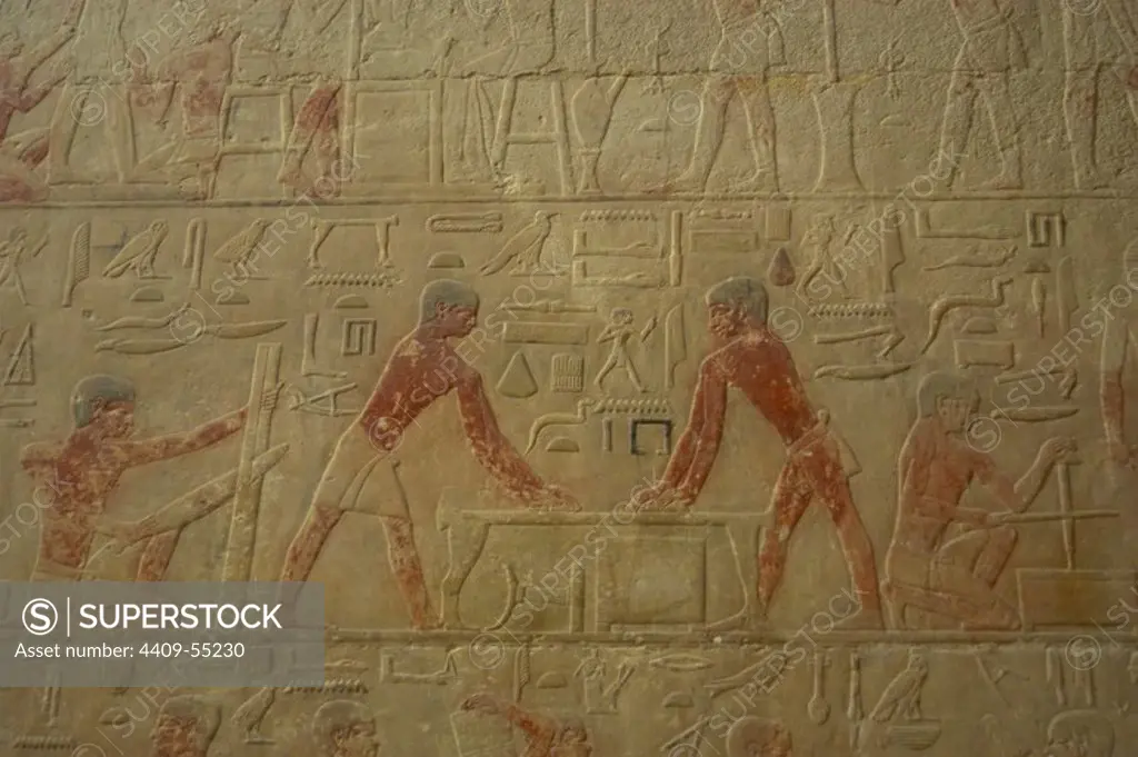 Egypt. Saqqara. Mastaba of Ti. 5th Dynasty. Relief depicting a daily life scene.