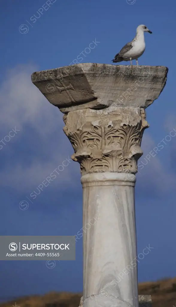 Ukraine. Chersonesus Taurica. 6th century BC. Greek colony occupied later by romans and byzantines. The Byzantine Basilica. Column, Detail. Sevastopol.