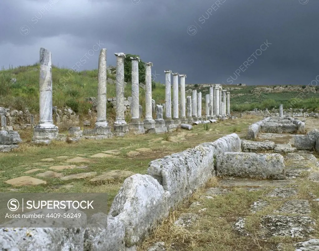 Turkey. Perga or Perge. Ancient Anatolian city. It was founded around 1000 BC. Important city of the Roman province of Pamphylia. Arcaded Street, 20 meters in length, surrounded by porticos that flanked the old shops.