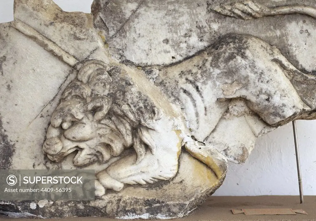 Roman fragment of a relief which depicts a lion. Museum of Miletus. Turkey.