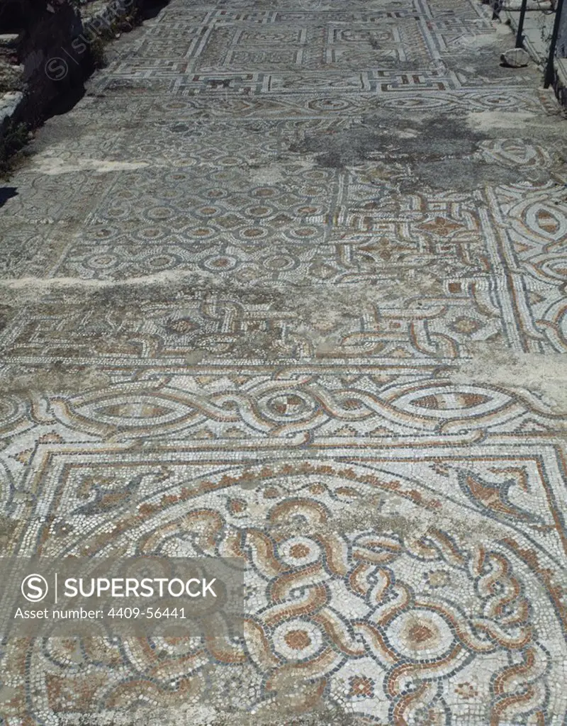 Turkey. Ephesus. Terrace Houses. Ornate mosaics on the floor. Floral motifs. Roman period. 2nd century AD. Anatolia.
