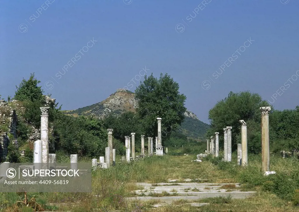 Turkey. Ephesus. Arcadian Street. It was constructed in the Hellenistic period and restored between 395 and 408 AD. The street was 530 meters long and 11 meters wide. On both sides of the street there were shops and galleries, and gates in the form of monumental arches.