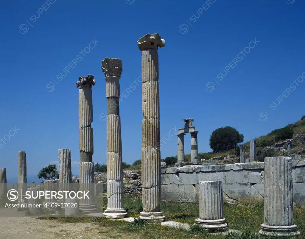 ARTE ROMANO. ASIA MENOR. EFESO. Vista general de las ruinas de LA BASILICA construida durante el reinado de Augusto (S. I.) TURQUIA. Península Anatólica.