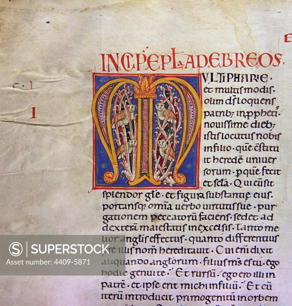 Biblia de Avilia, Codex. Letter M. 13th century. National Library. Madrid. Location: BIBLIOTECA NACIONAL-COLECCION. MADRID. SPAIN.