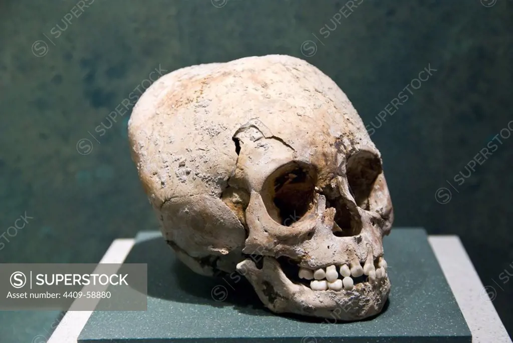 Mexico.Mexico city.National Museum of Antropology.Maya culture.Human skull.