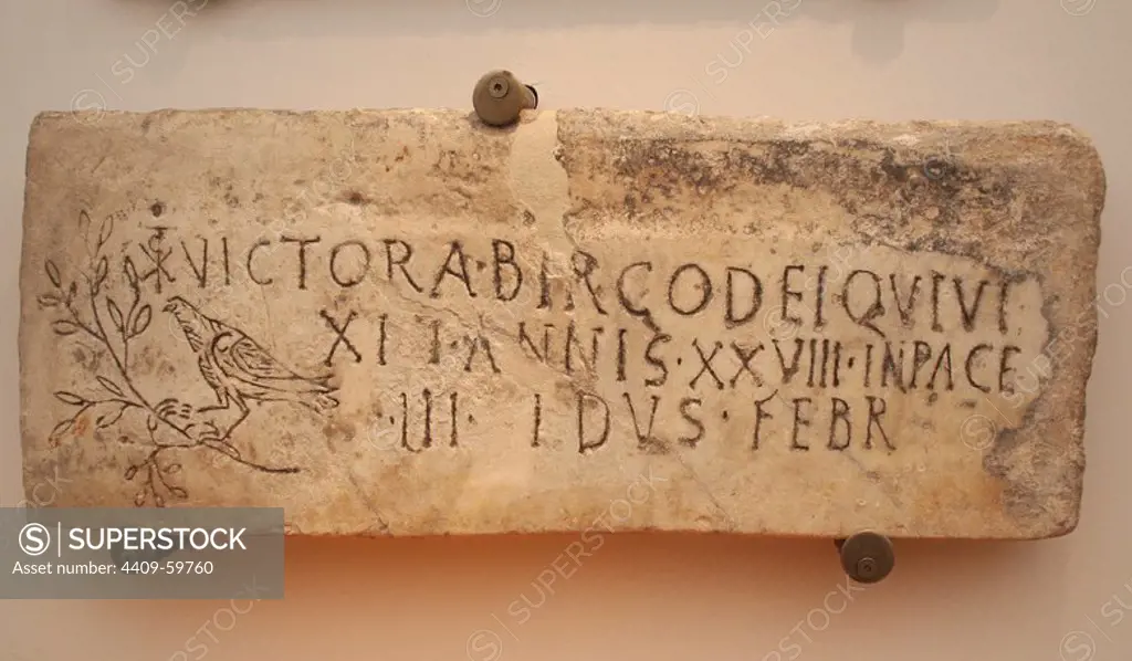 Early Christian Art. Italy. Early Christians. Roman tombstone with Christian iconography. Inscription: Victoria, consecrated virgin, who lived 28 years. Christian phrase appears "in pace". The symbol of the dove and the olive branch and the monogram of Constantine T. 4th century AD. Baths of Diocletian, part of the National Roman Museum Rome. Italy.