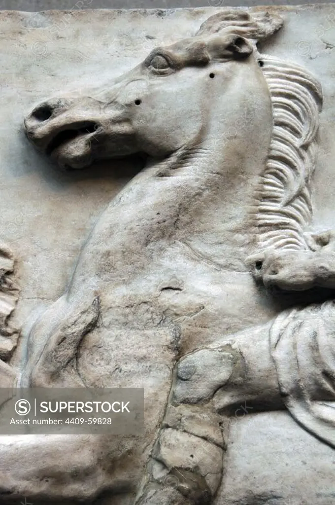 Greek Art. Parthenon. 5th century B.C. Marshal looking towards the horseman who overtakes him on the left. Detail. Horse. West Frieze I. It comes from the Acropolis in Athens. British Museum. London. England. UK.