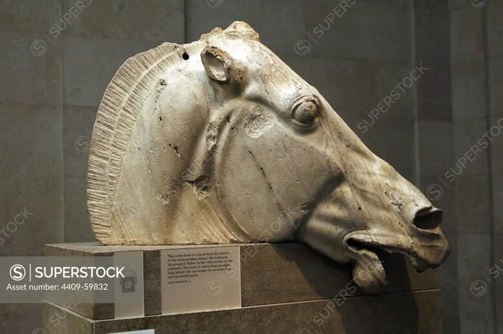 Greece. Athens. Parthenon. Head of horse from the chariot of the moon-goddes Selene. East pediment. 5th C. BC. British Museum. London. United Kingdom.