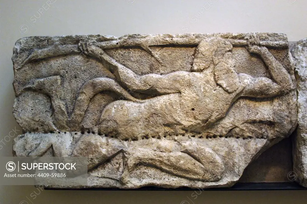 Early Classical. Late Archaic. Satyr wielding a tree branch. Frieze block carved in relief, from the animal frieze that used to run around the top of the podium suporting Building G. Acropolis Xanthos. Lycia. Turkey. Made during the reigh of King Kuprlli (480-440BC). British Museum. London. England. United Kingdom.