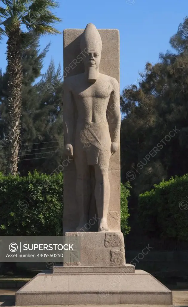 Egyptian Art. Statue of Pharaoh Ramses II (h.1290-1224 BC). New Empire. 19th Dynasty. Mit Rahina Open Air Museum. Memphis. Egypt.