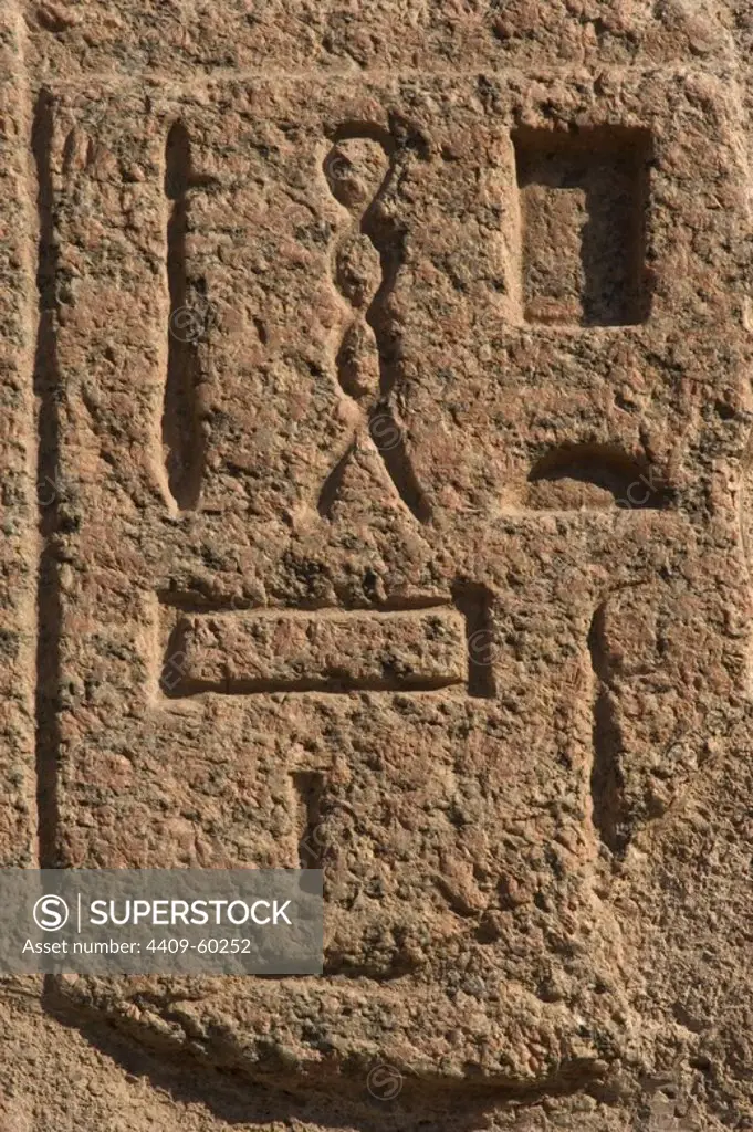 Hieroglyphic writing. Mit Rahina Open Air Museum. Memphis. Egypt.