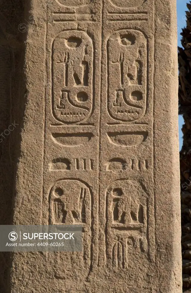 Hieroglyphic writing. Cartridge. Mit Rahina Open Air Museum. Memphis. Egypt.