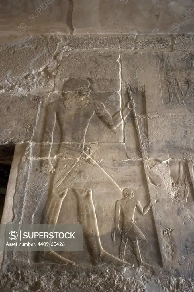 Mastaba of Ptahhotep and Akhethotep. 5th Dynasty. Old Kingdom. Egyptian viziers. Father and son. Relief where the deceased is depicted standing with cane. Saqqara. Egypt.