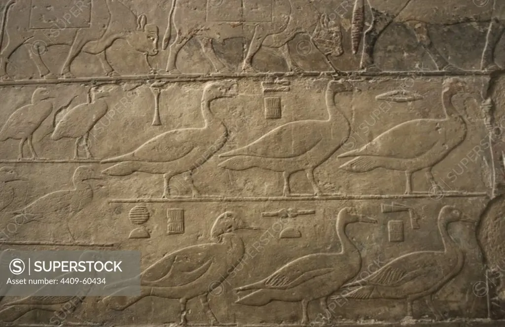 Egypt. Saqqara. Mastaba of Ti. Ca. 2400 B.C. 5th Dynasty. Old Kingdom. Relief depicting ducks and birds.