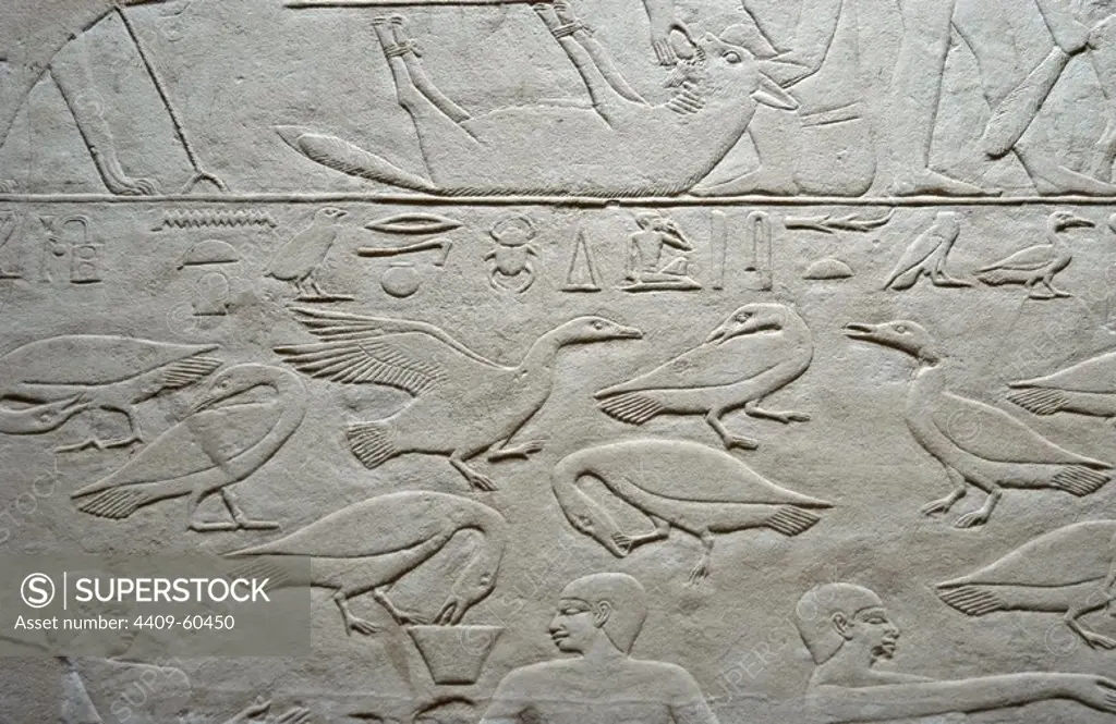 Egypt. Necropolis of Saqqara. Mastaba of Kagemni (2350 BC). Chief Justice and vizier of the Pharaoh Teti. Relief depicting geese. 6th Dynasty. Old Kingdom.