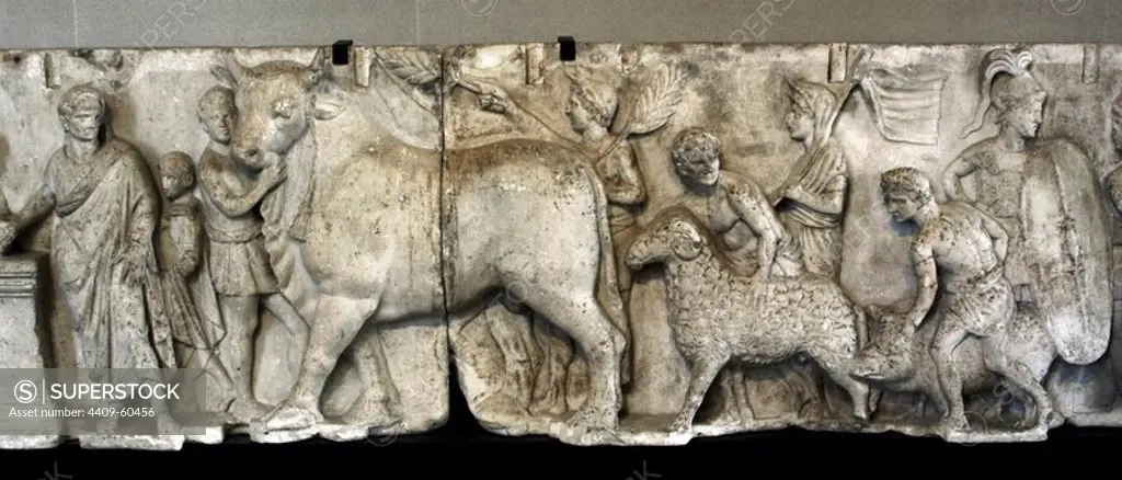 Roman Art. Italy. Frieze from the Altar of Domitius Ahenobarbus, Consul, (54 B.C.). Marble. Late 2nd century BC. Detail showing an animal sacrifice. Suovetaurilia: sacrifice of a pig, a ram and a bull. Domitius is dressed with toga and laurel wreath. It comes from Campo Marzio, Rome. Louvre Museum. Paris. France.