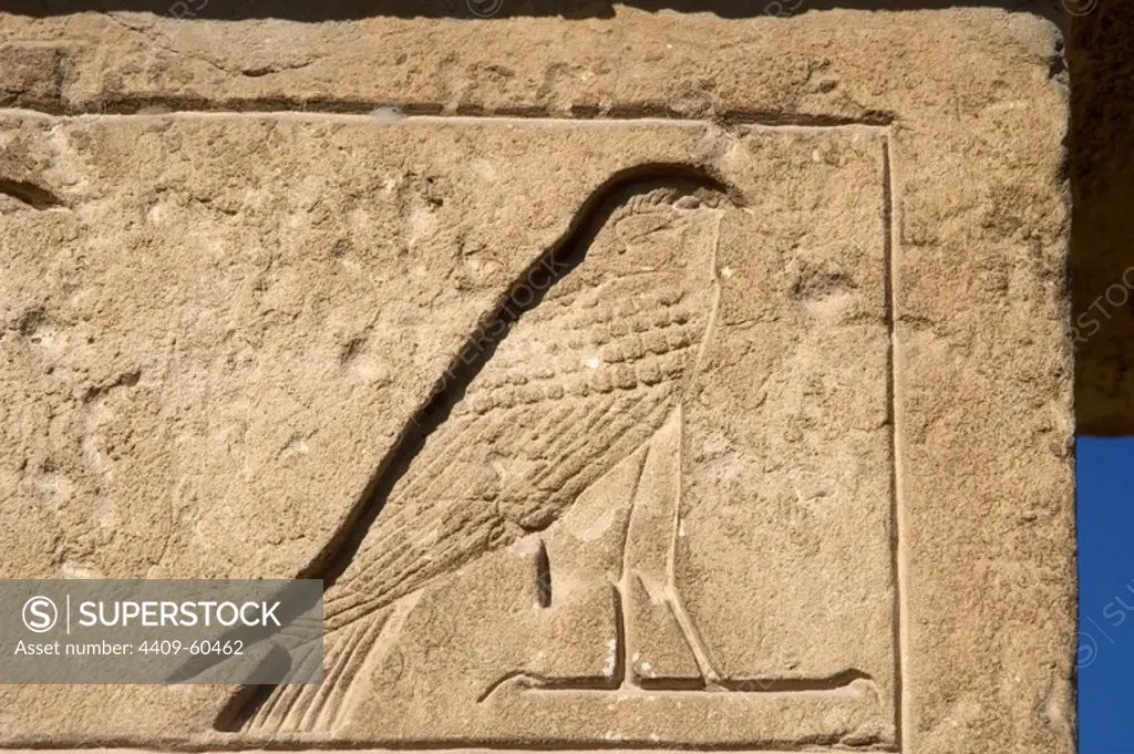 Egypt. Necropolis of Saqqara. Relief depicting a falcon. Old Kingdom.