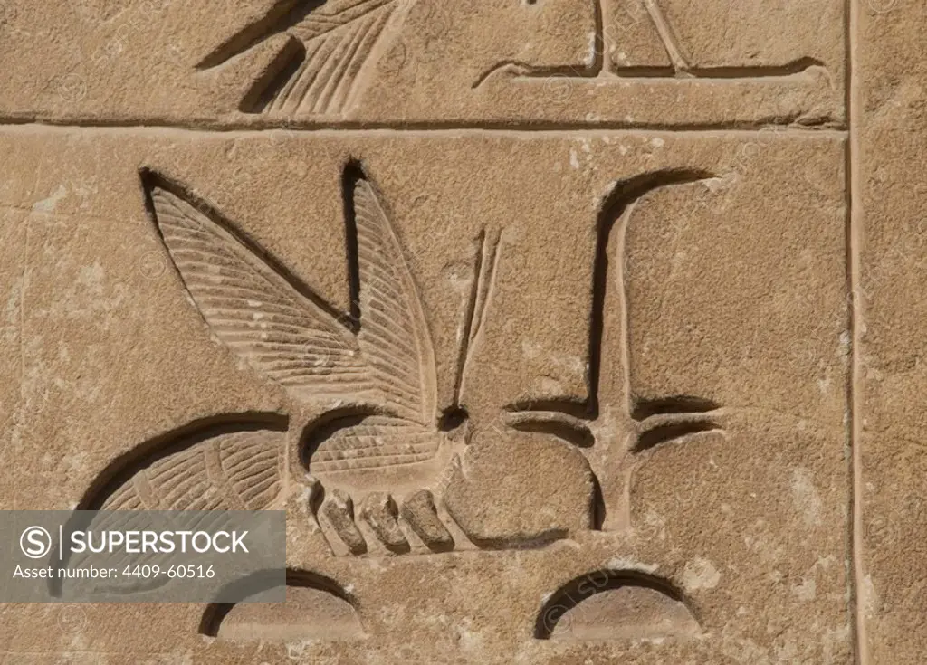Egypt. Necropolis of Saqqara. Hieroglyphic writing. Relief depicting Upper Egypt, symbolized with a rush, and Lower Egypt symbolized with a bee. Old Kingdom.
