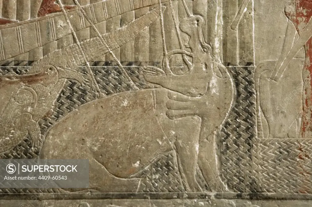 Egypt. Saqqara. Mastaba of Ti. Relief depicting hunting scene. Detail of the hippopotamus hunt. Detail. 5th Dynasty. Old Kingdom.