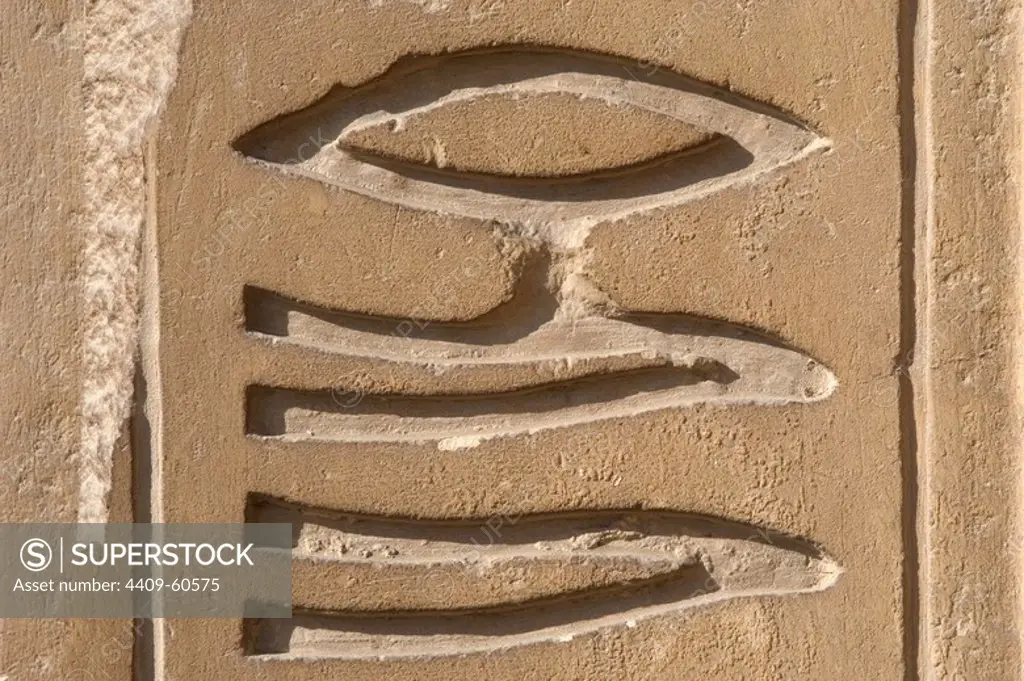 Egypt. Necropolis of Saqqara. Mastaba of Kagemni (2350 BC). Chief Justice and vizier of the Pharaoh Teti. Relief. Hieroglyph. Detail.6th Dynasty. Old Kingdom.