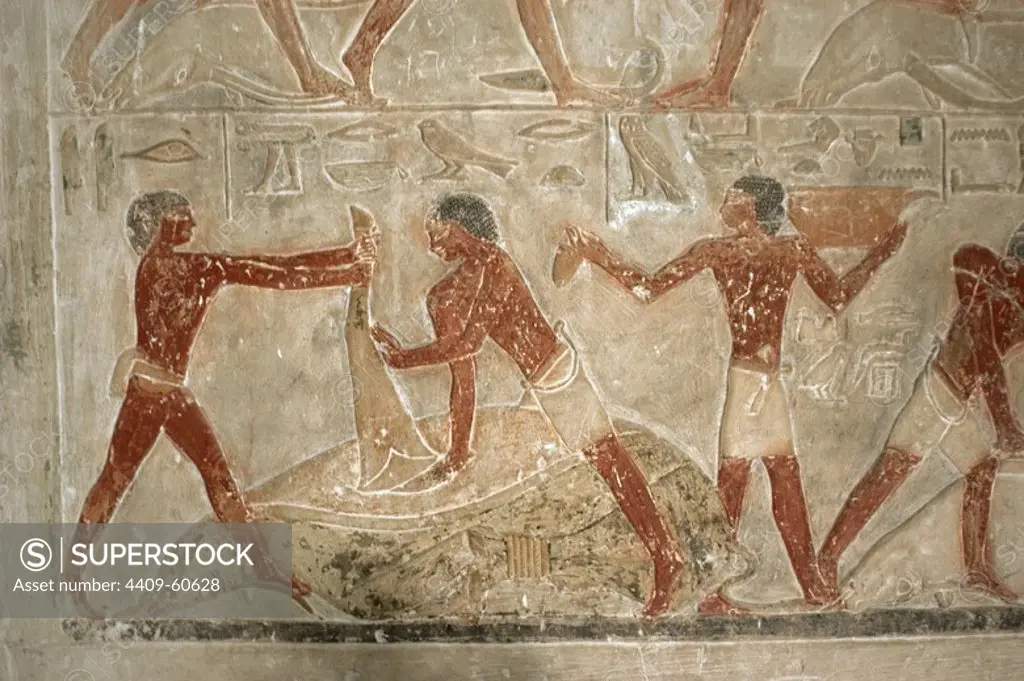 Egypt. Saqqara. Mastaba of Ptahhotep and Akhethotep. 5th Dynasty. Old Kingdom. Egyptian viziers. Father and son. Polychrome relief depicting butchering oxen.