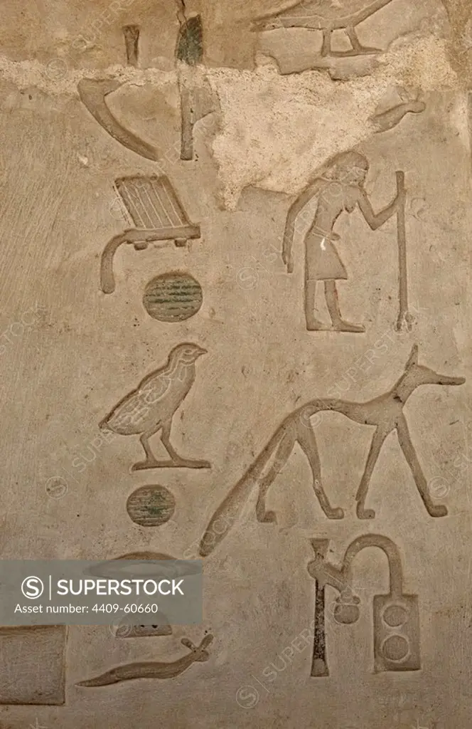 Mastaba of Nefer and Kahay. Hieroglyphic. 5th Dynasty. Old Kingdom. Saqqara. Egypt.
