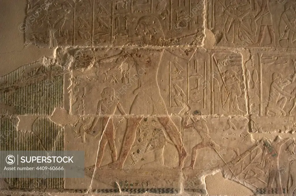 Mastaba of Nefer and Kahay. Hunter in the Nile river's marshes. 5th Dynasty. Old Kingdom. Saqqara. Egypt.