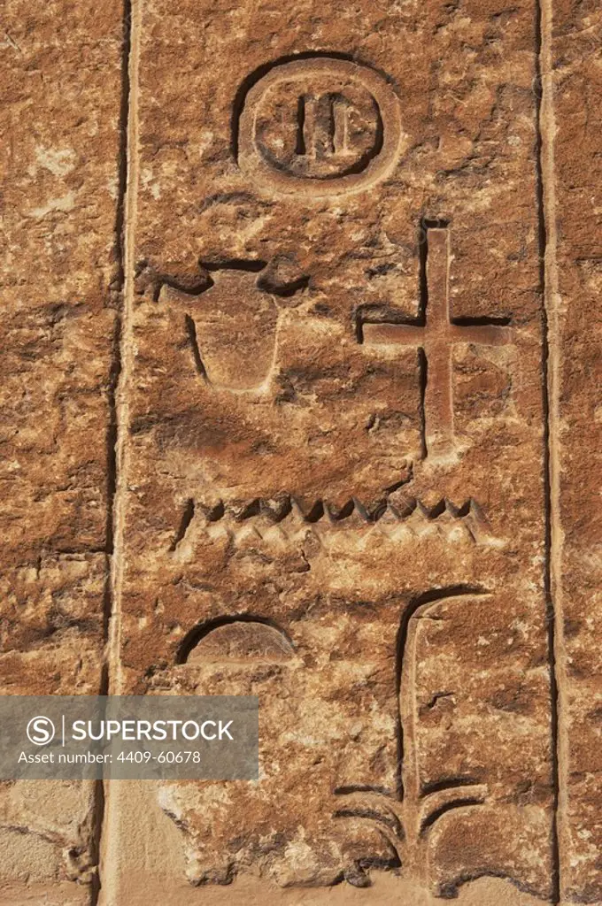 Egyptian Art. Necropolis of Saqqara. Hieroglyphs in a mastaba. Relief. Old Kingdom. Egypt.