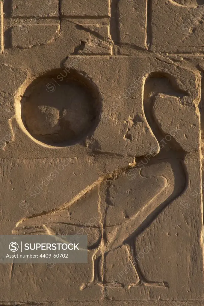 Egyptian Art. The Karnak Temple Complex. Relief depicting a goose next to the sun. New Kingdom. Egypt.
