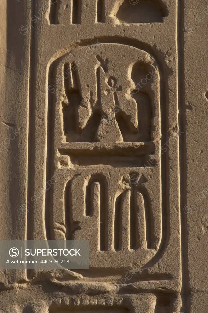 Hieroglyphic writing. Royal protocol of Ramses II. Fifth title of the Pharaoh: son of Ra.19th Dynasty (1320-1200 b.C.). New Empire. Egypt.