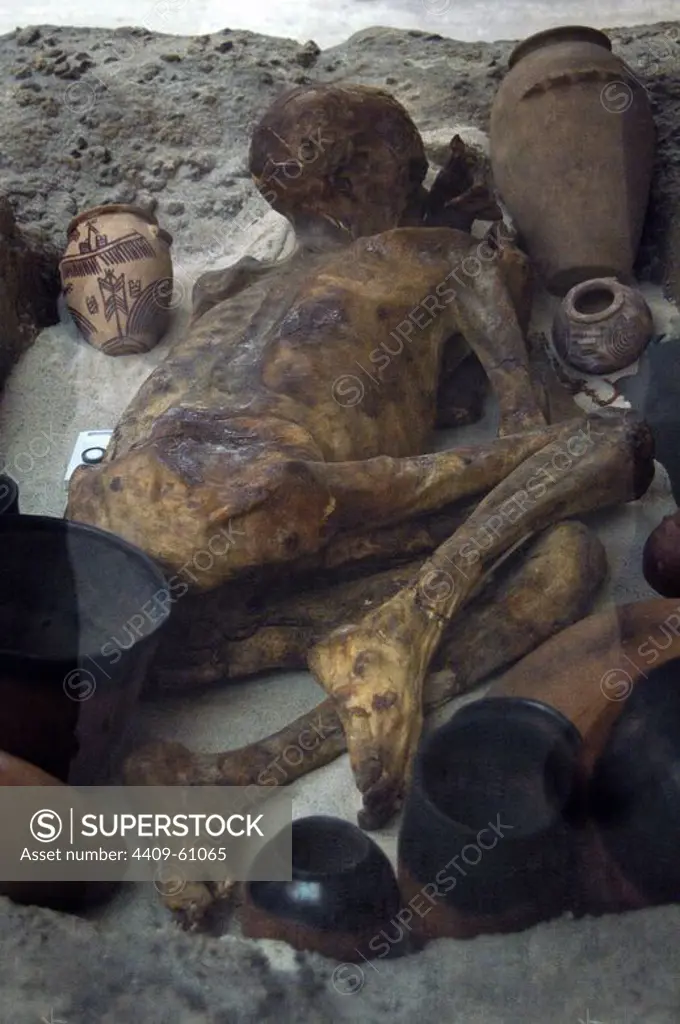 Egyptian tomb with a body naturally preserved and surrounded by grave goods. His naturally preservation is due to dry heat given off by the sand where he was buried. Known as Ginger mummy. Dated circa 3400 BC. Late Predynastic Period. British Museum. London. United Kingdom.