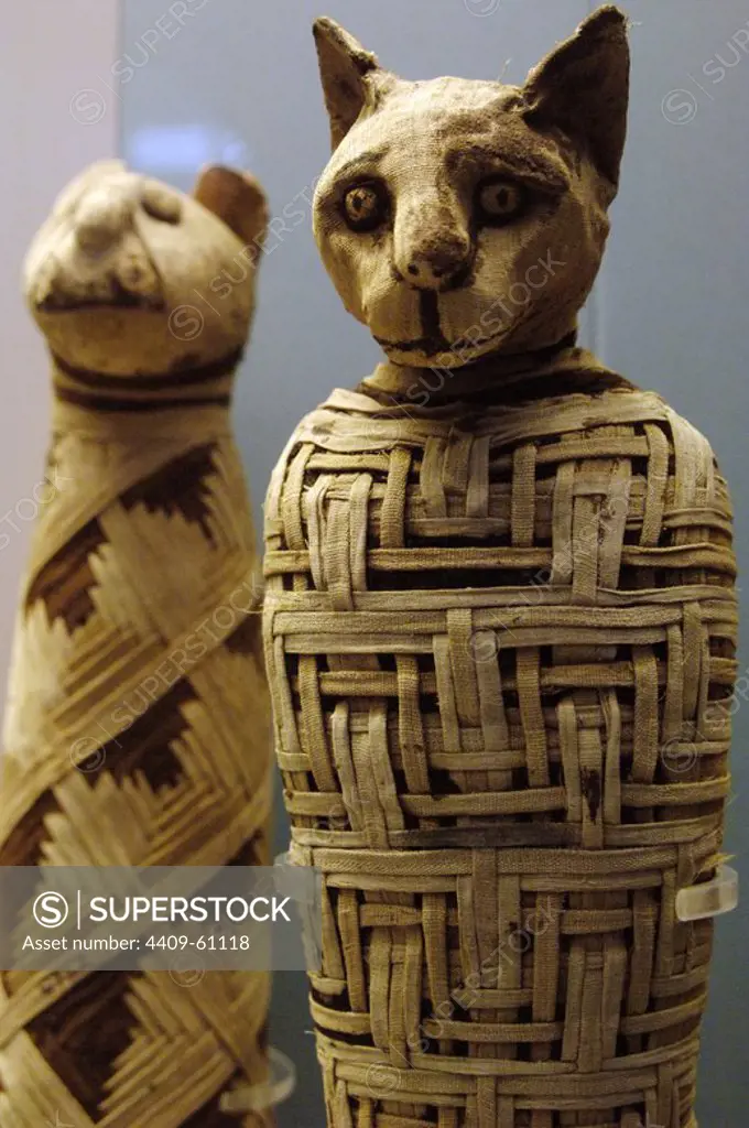 Mummy of a cat. After 30 BC. Roman period. Perhaps 1st century AD. From Abydos. British Museum. London. United Kingdom.