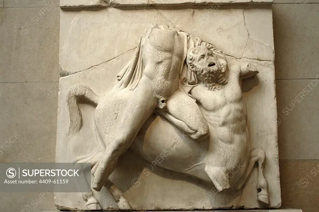Metope II from the Parthenon marbles depicting part of the battle between the Centaurs and Athenian hero. 5th century BC. Athens. British Museum. London. United Kingdom.