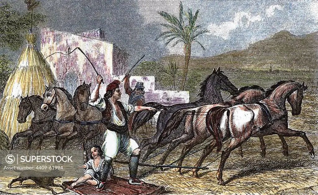 Spain. Catalonia. Farmer using horses threshing. 19th century. Colored engraving.