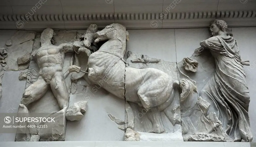 Pergamon Altar. Built by order of Eumenes II Soter. 164-156 BC by artists of the school of Pergamon. Marble and limestone. South frieze. Gigantomachy. Horse of Helios carriage attacking a giant. Pergamon Museum. Berlin. Germany.