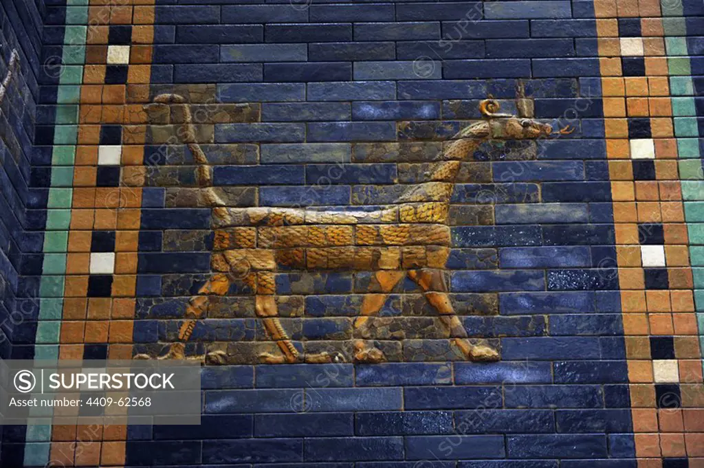 Mesopotamian art. Neo-Babylonian. Ishtar Gate, one of the eight gates of the inner wall of Babylon. Built in the year 575 B.C. during the reign of Nebuchadnezzar II (604-562 BC) using glazed blue brick with alternating rows of basrelief with dragons mushussu, also called sirrush, and aurochs. It was dedicated to the Babylonian goddess Ishtar. Rebuilt in 1930. A dragon. Pergamon Museum. Berlin. Germany. Pergamon Museum. Berlin. Germany.