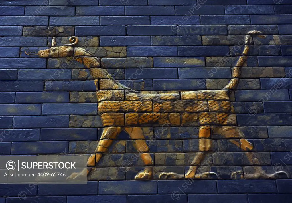 Mesopotamian art. Neo-Babylonian. Ishtar Gate, one of the eight gates of the inner wall of Babylon. Built in the year 575 B.C. during the reign of Nebuchadnezzar II (604-562 BC) using glazed blue brick with alternating rows of basrelief with dragons mushussu, also called sirrush, and aurochs. It was dedicated to the Babylonian goddess Ishtar. Rebuilt in 1930. A dragon. Pergamon Museum. Berlin. Germany.