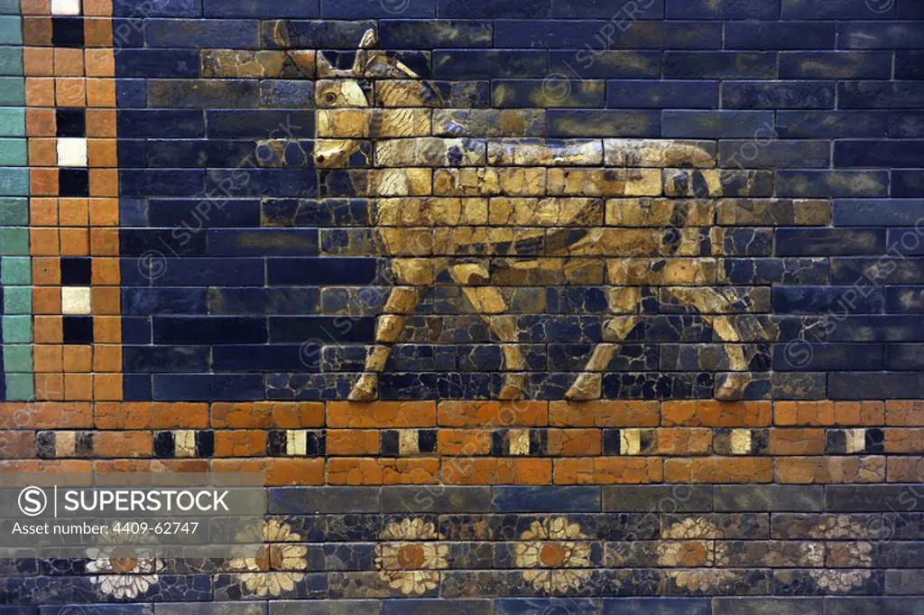 Mesopotamian art. Neo-Babylonian. Ishtar Gate, one of the eight gates of the inner wall of Babylon. Built in the year 575 B.C. during the reign of Nebuchadnezzar II (604-562 BC) using glazed blue brick with alternating rows of basrelief with dragons mushussu, also called sirrush, and aurochs. It was dedicated to the Babylonian goddess Ishtar. Rebuilt in 1930. An aurochs above a flower ribbon. Pergamon Museum. Berlin. Germany.