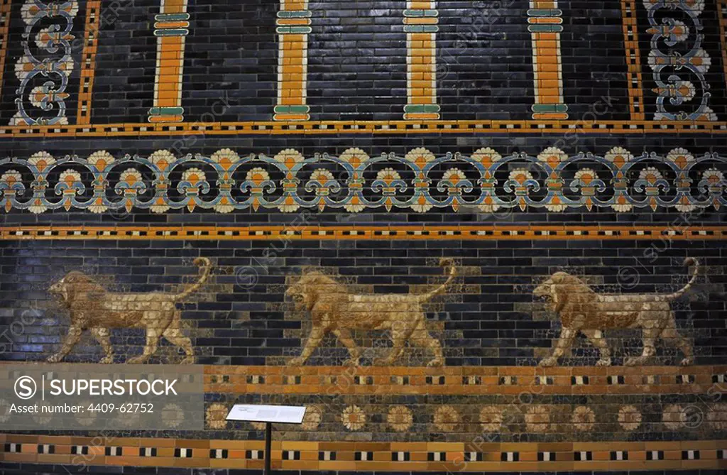 Mesopotamian art. Neo-Babylonian. The Throne Room of Nebuchadnezzar II. Reconstructed facade. Dated in 580 B.C. Its 56 meters facade was decorated with colored glazed bricks as shows the composition, including stylized palms. The frieze of lions was presumably arranged symmetrically so that the animals faced toward the central main entrance to the trone-room. Detail. Pergamon Museum. Berlin. Germany.