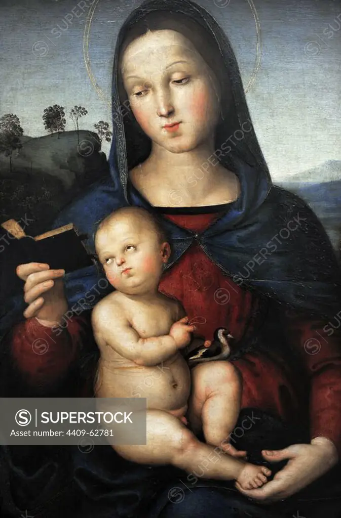 Raphael (Raffaello Sanzio da Urbino) (1483-1520), Italian painter. Solly Madonna (Virgin Mary with Child), c.1502. Gemaldegalerie. Berlin. Germany.