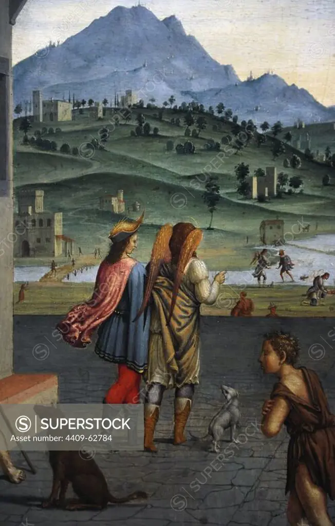 Francesco Granacci (1469-1543). Italian painter. Life of the Young Tobias. Detail. Gemaldegalerie. Berlin. Germany.