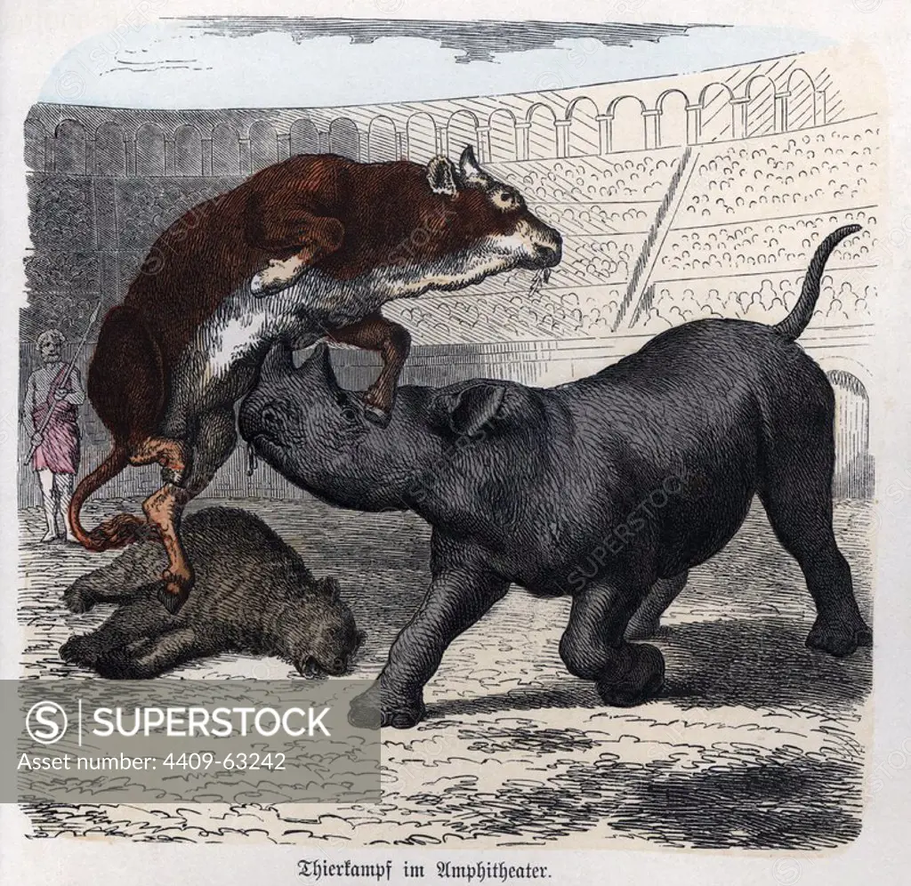 Historia Antigua. Roma. Circo romano, lucha entre animales y fieras. Grabado alemán de 1865.