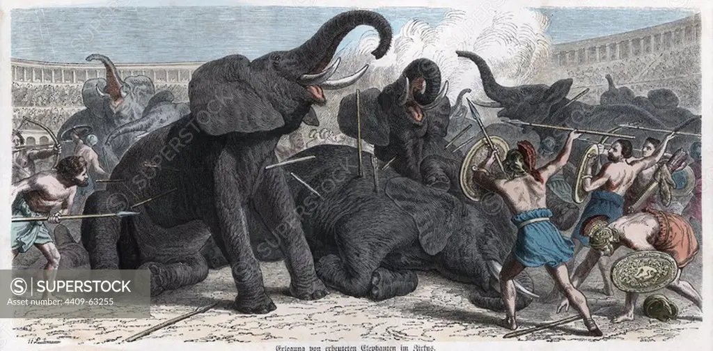 Historia Antigua. Roma. Circo romano, lucha entre elefantes y gladiadores. Grabado alemán de 1865.