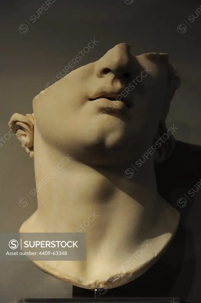 Greek art. Asia Minor. Colossal head of a youth. Pergamon. Marble. 2nd BC. Top terrace Gym. The Antikensammlung Berlin (Berlin antiquities collection).