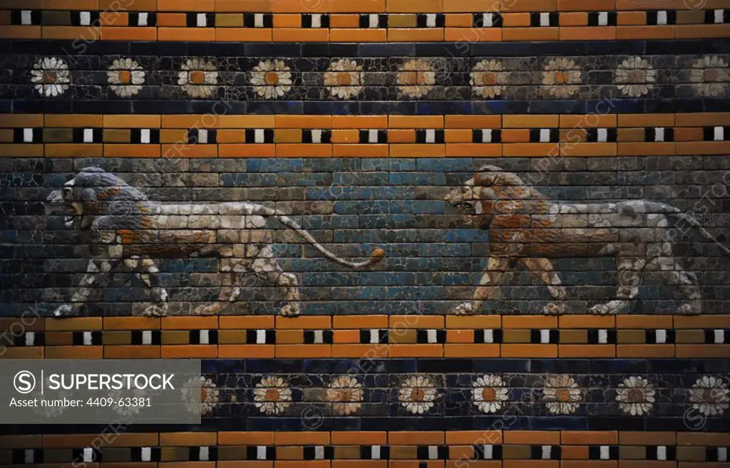Babylon's lion. Lions and flowers decorated the Processional Wal (Ishtar Gate). 575 BC. Pergamon Museum. Museum Island. Berlin. Germany.