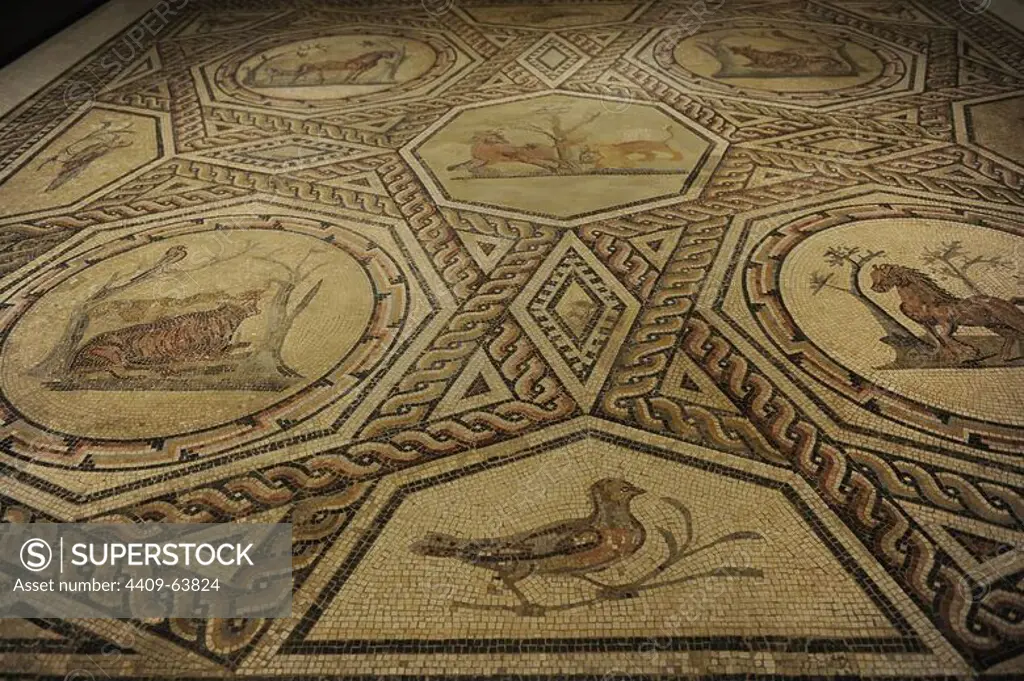 Floor mosaic from a Roman house in Trier, 250. Stone and glass mosaics. Polychrome. Decorated with borders and animals. Artwork loaned by Rheinisches Landesmuseum, Trier). The German Historical Museum. Berlin. Germany.