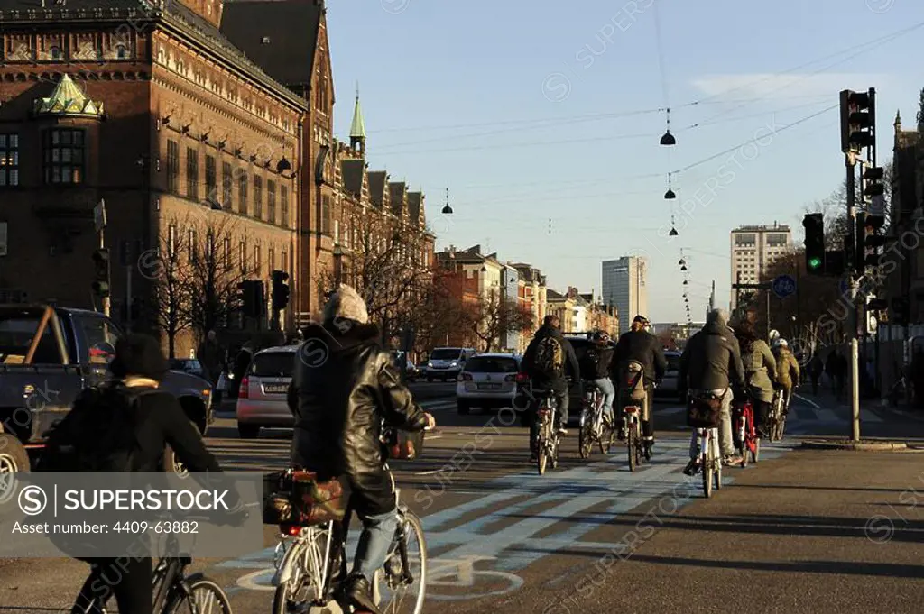 Denmark. Copenhagen. Cyclists circulating by a bike lane.