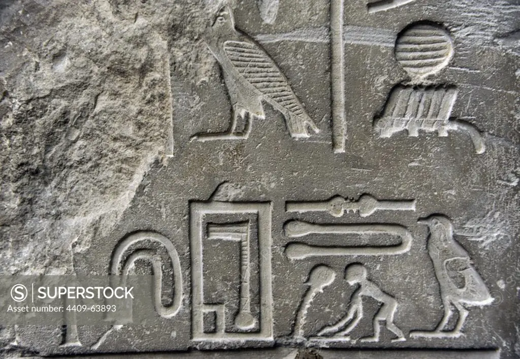 Relief depicting hieroglyphics from the tomb of the temple-treasurer Setju. Sakkara, Egypt. Limestone. 4th-5th Dynasties. Old Kingdom. C. 2500-2350 BC. Ny Carlsberg Glyptotek. Copenhagen. Denmark.