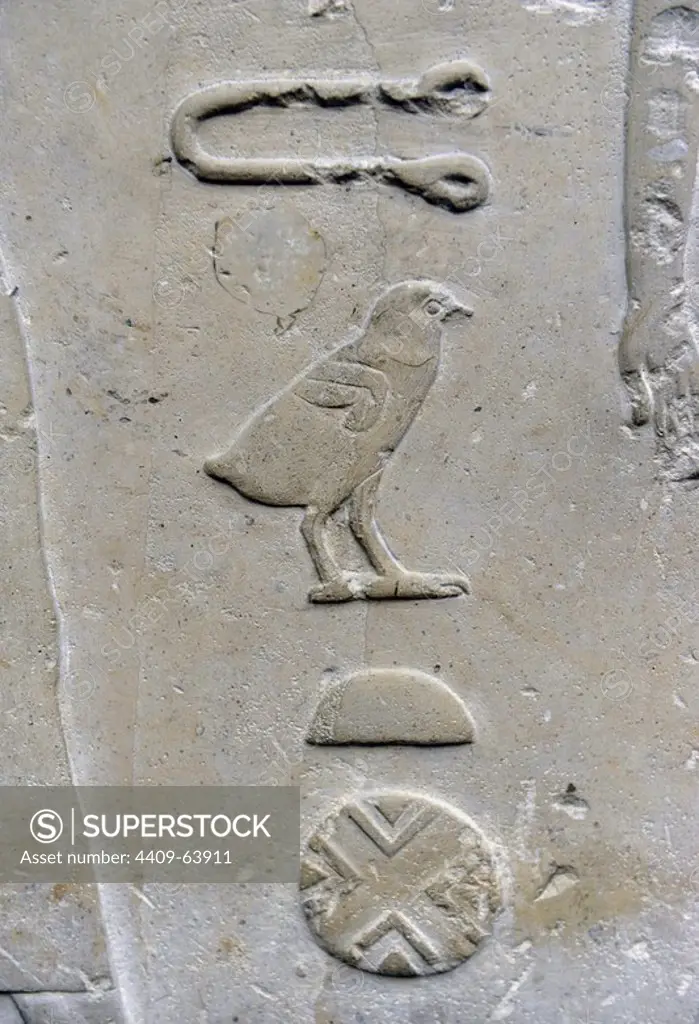 Offering-bearers. Detail of the hieroglyphic writing. Limestone. From the tomb of Princess Nofert at Medum. 4th Dynasty. Old Kingdom. C. 2550 BC. Ny Carlsberg Glyptotek. Copenhagen. Denmark.