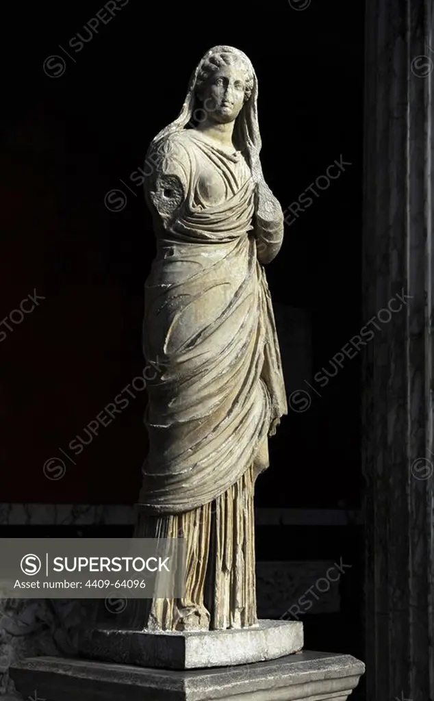 Roman Art. The Mater Familias or Matrona. Statue. Ny Carlsberg Glyptotek. Copenhagen. Denmark.